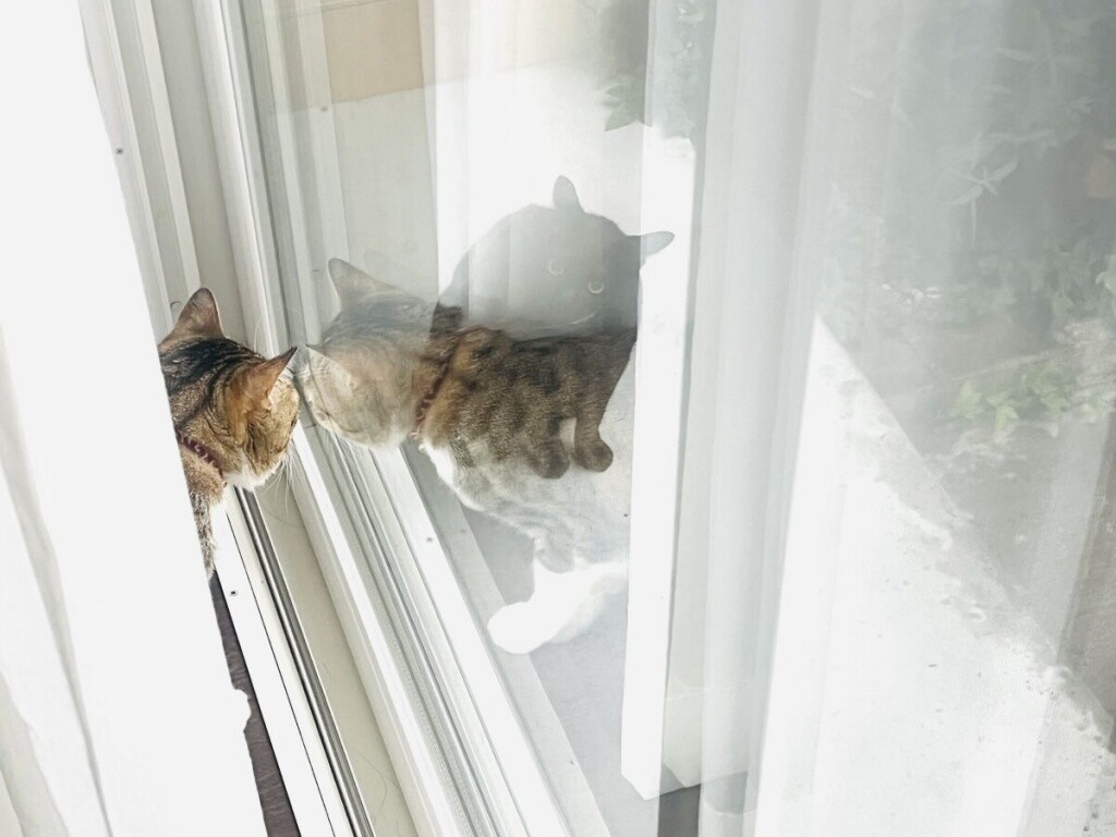 0A923C51-975D-47D3-8D14-E147FCD3CC0A