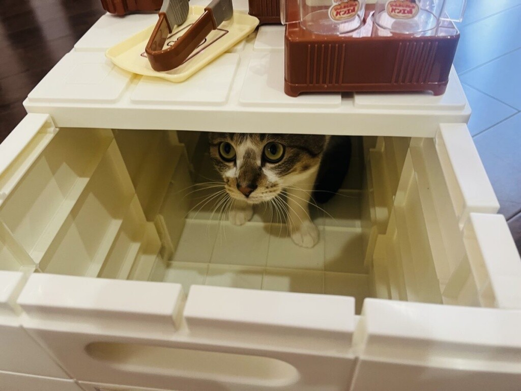 9C5AB970-677D-4269-9877-6A3DA9F5DC02